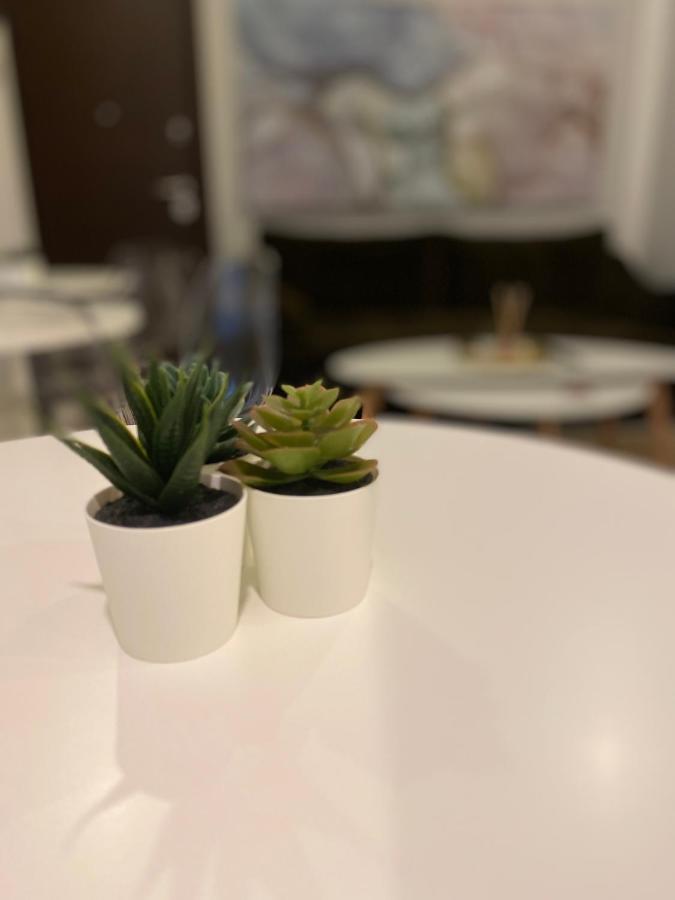 Solomou Inn Boutique Rooms Atenas Exterior foto